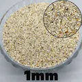 1mm