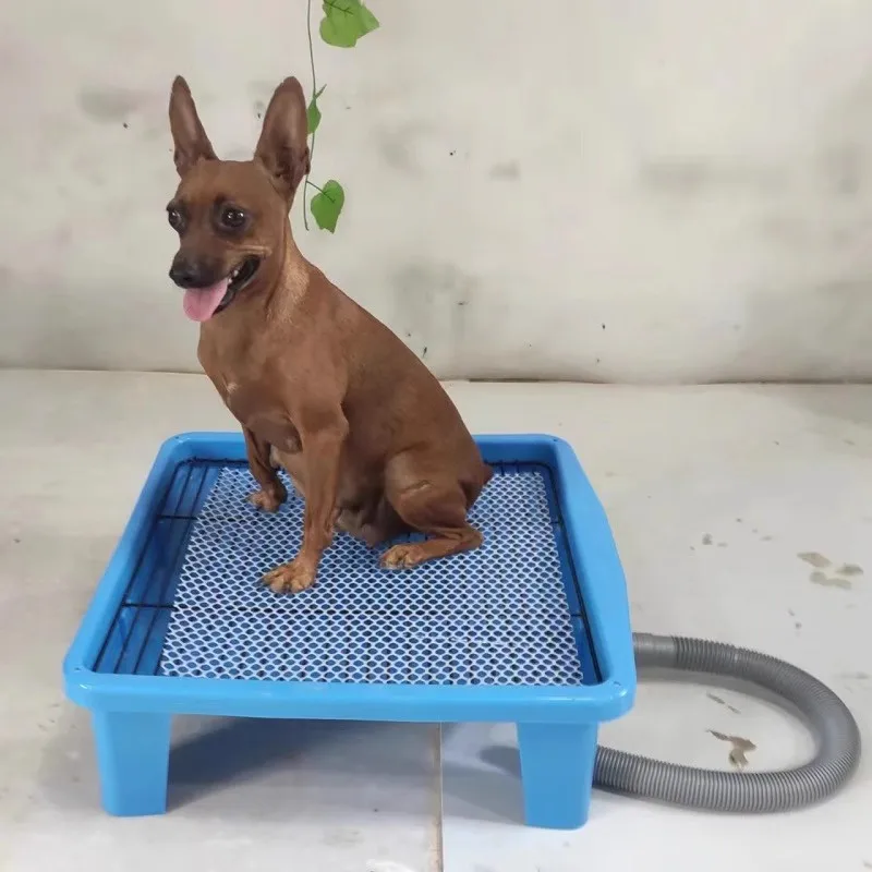 Accessori Puppy Toilet Training Pads Sprinkler Dog Potty Tray Poop Collector Cleaner Bolsas Caca Perro Pet Products Cy50Dt