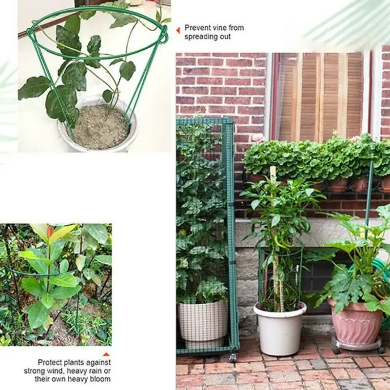

Metal Garden Support Stake Ring Peony Herbaceous Plant Flower Stand Trellis Garden Supplies 14cm 18cm 20cm 22cm