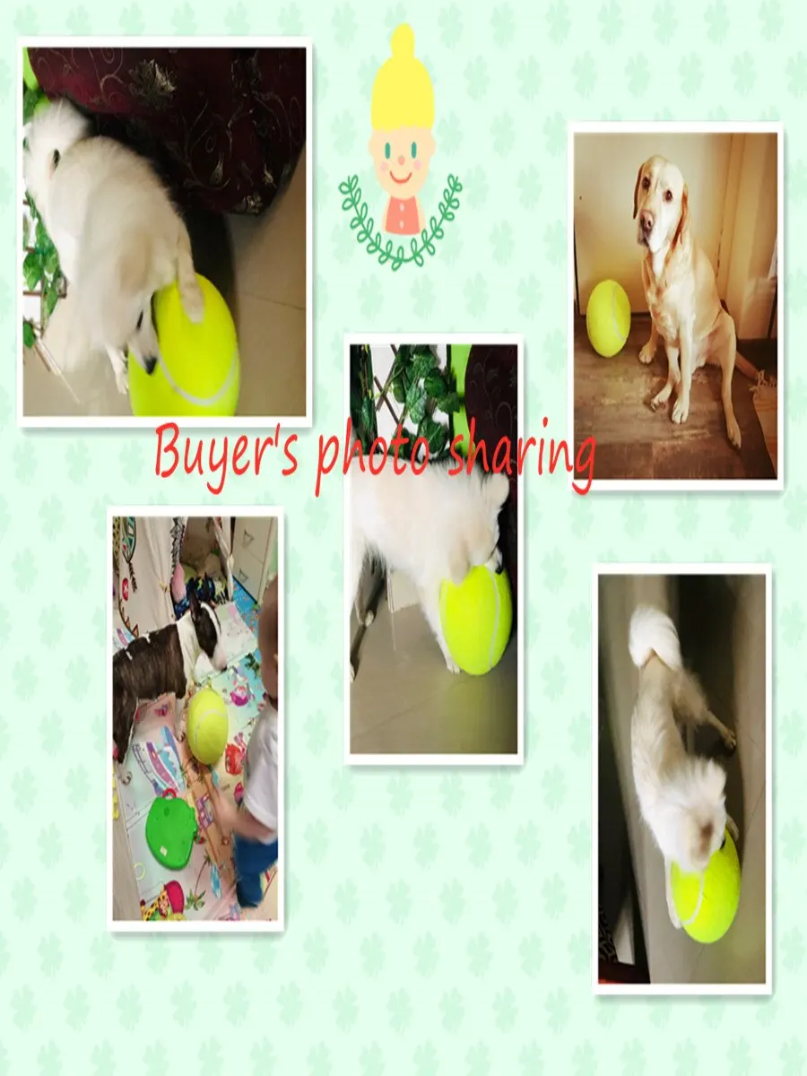 Рисунок 6 - Новый теннисный мяч для собак 6