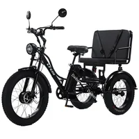 24 pouces 3 roues vélo électrique hors route 750w48v passager Tricycle électrique 2 places pour femme homme VTT 5