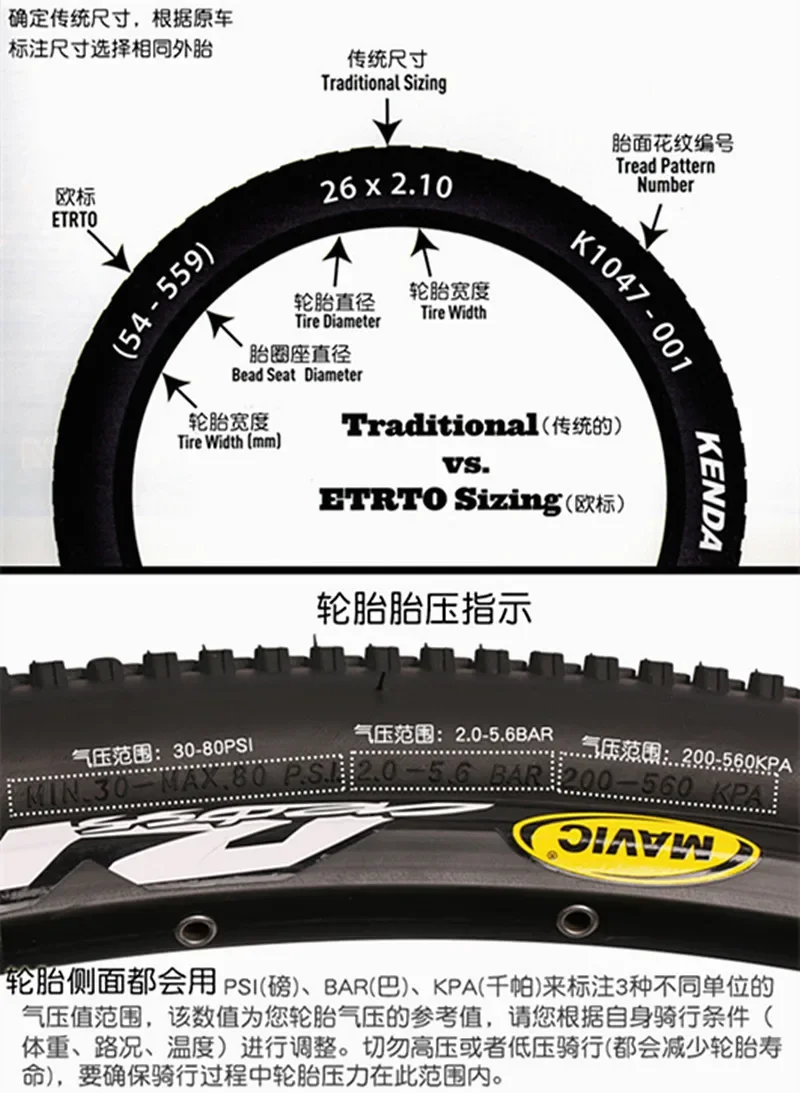 3953234413_1443985724