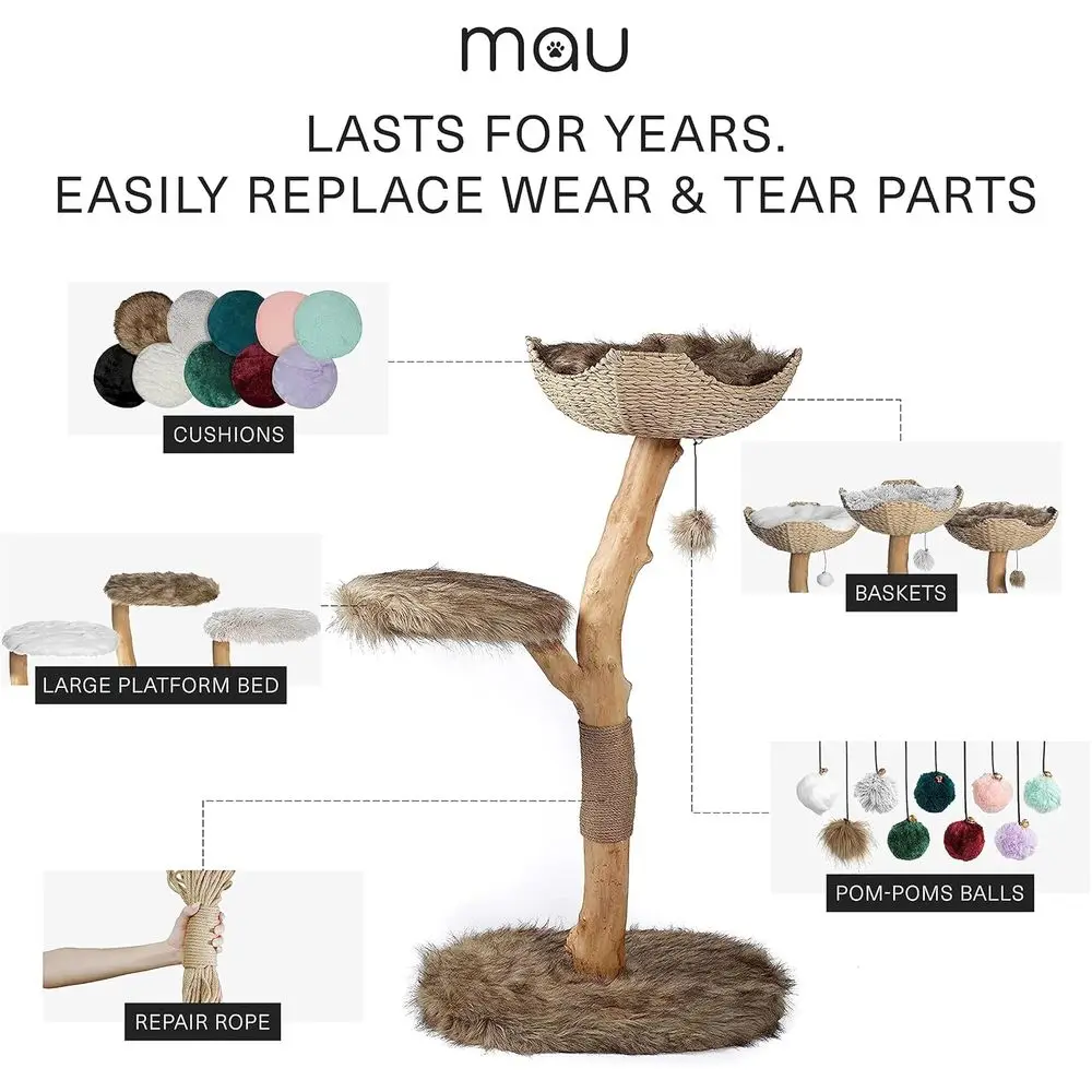 description