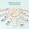 Life Cycle Board Children Toy Montessori Teaching Aids Plant Animal Growth Cycle Model Set preschool cognitive Toys 4