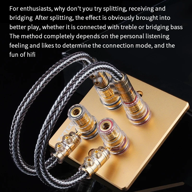 HifiAudioSpeakerSplitJumperCableGoldPlatedPlugOCCSterlingSilverSpeakerAmplifier