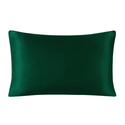 Premium 100% Mulberry Silk Pillowcase with Zipper - Luxurious and Healthy Sleep in Multicolor Options - 40x80 cm (Green)