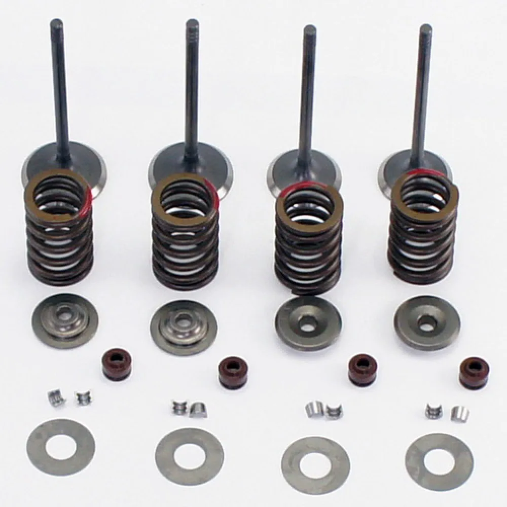 Einlass-Auslass-Ventil-Baugruppe 800-6027 für CF Motor CForce UForce ZForce 450 520 500 600 800 1000