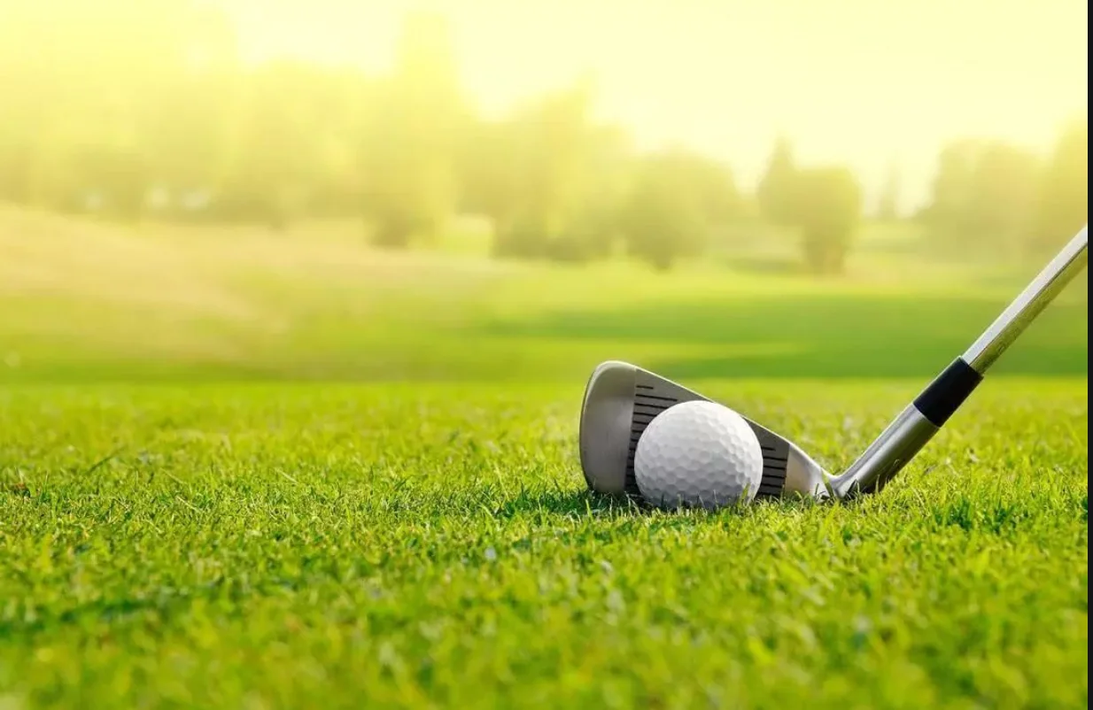 Description Picture 2 of itemGolf Slider Weight Compatible with Taylormade Stealth 2 Plus Driver Head Weights Available