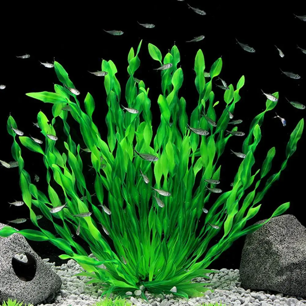 Dropshipping!! Aquarium Plant Realistic Appearance Hideout Decor Plastic  Artificial Seaweed Fish Tank Decoration for Home - AliExpress