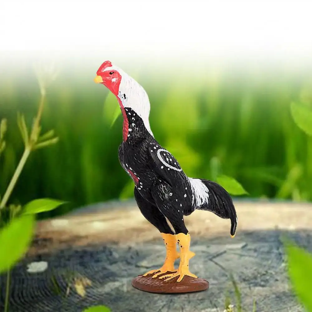 Cofre cockfighting modelo preto branco frango brinquedo emulação imagem  estatueta em miniatura cognitivo jogo aves decoração em miniatura -  AliExpress