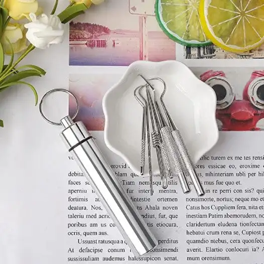 Toothpicks Pocket Set Stainless Steel Reusable Portable Metal Floss Tooth Picks with Holder Outdoor Picnic Traveling