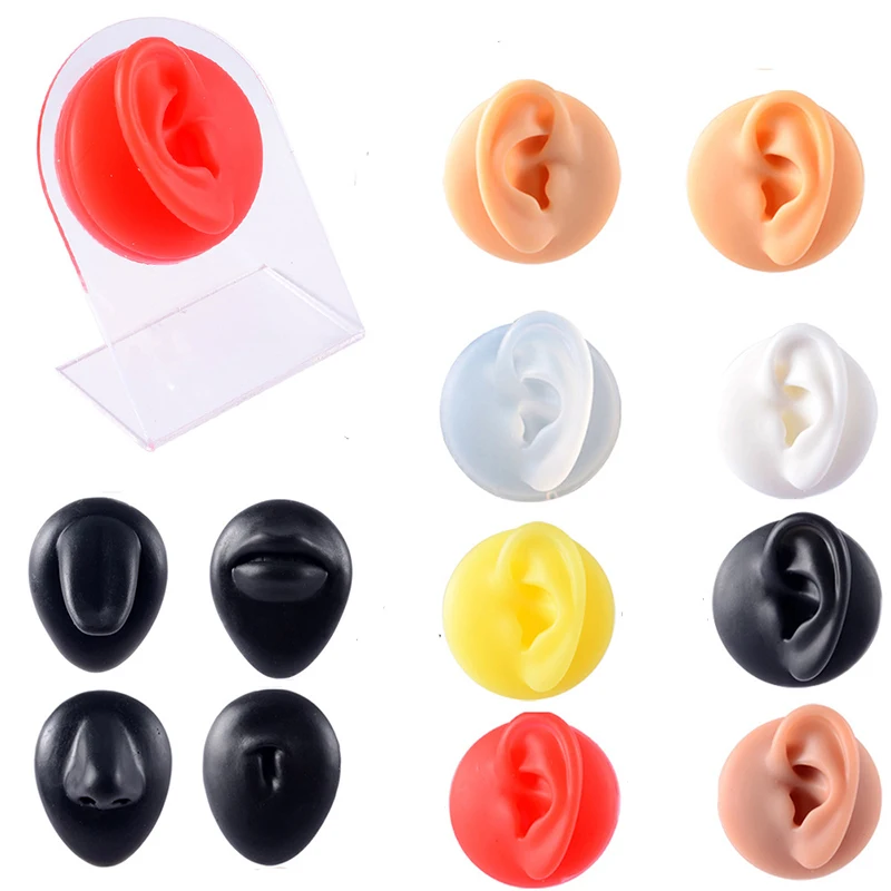 Simulated Silicone Ear Nose Navel Nipple Model Stereoscopic Puncture Training Piercings Jewelry Display Teaching Tool Stand Kit