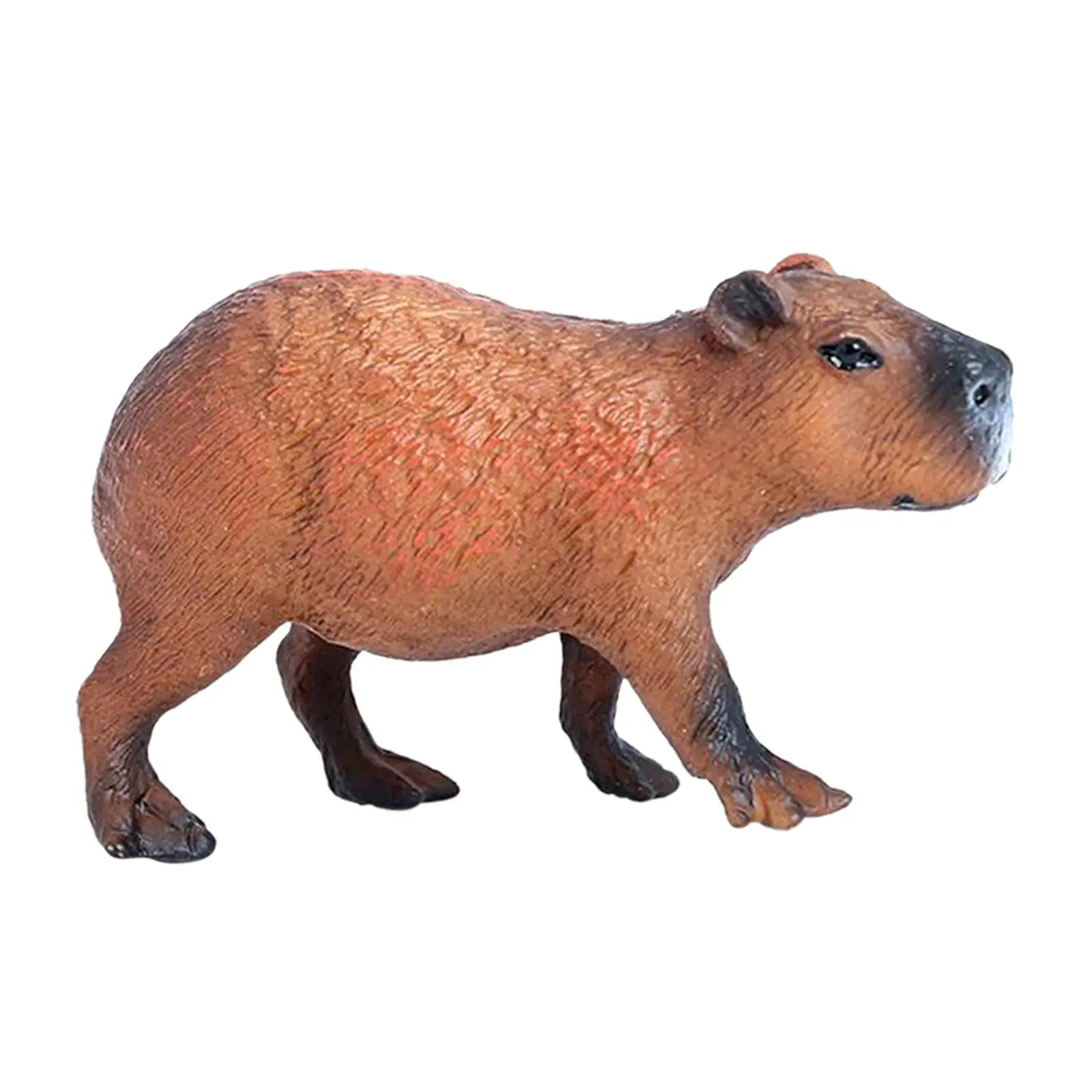 Modello di animali scultura in miniatura di capibara per regalo di  compleanno giocattolo per feste bambini - AliExpress