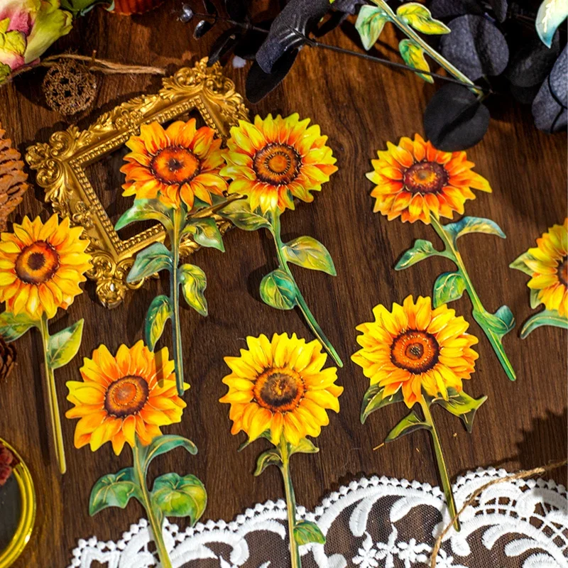 ��� �� �ʱ� �ɴٹ� ���¡ �ڵ�� ��Ʈ��, �ʱ� �е�, ��� ��� ��ũ����, 24 ��, 130x65mm