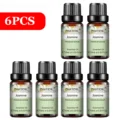 6pcs Jasmine