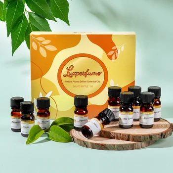공기 청정기 5ML 에센셜 오일 10 병 세트 샘플 아로마 디퓨저 가습기에 적합, 물 없는 자동차 청정기 자연