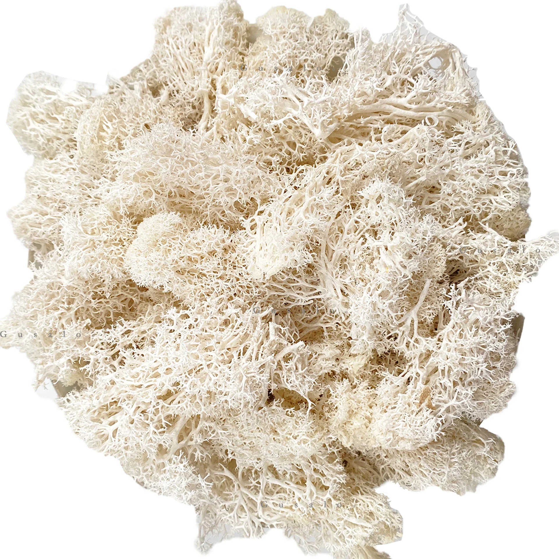 Lush Green Decorative Reindeer Moss for Crafting and Floral Decor