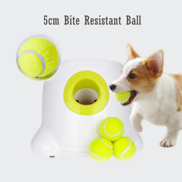 צעצוע משגר כדורים אוטומטי לכלבים
