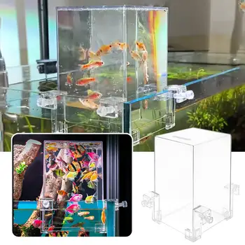 Negative Pressure Fish Tank Suspended Transparent Fish Tank Desktop Fighting Fish Tank Ecological Tank Landscaping Decoration