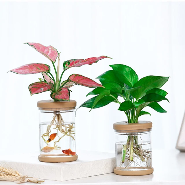 Transparent Hydroponic Flower Pot Imitation Glass Soilless Planting Potted Green Plant Resin Flower Pot Home Vase Decor 6