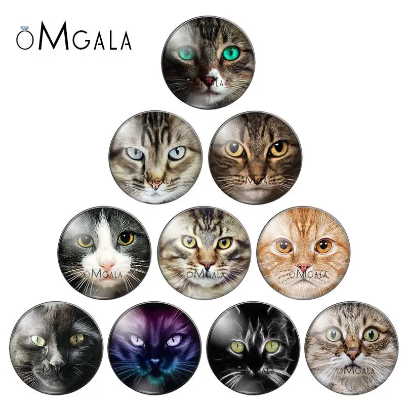 NewCatFacePatterns10pcsmixed12mm/14mm/16mm/18mm/20mm/25mmRoundphotoglasscabochonflatbackMakingfindings-AliExpress36