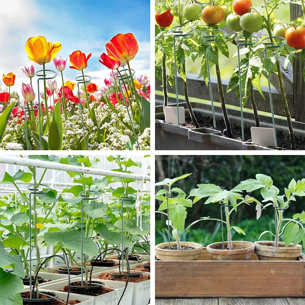 Plant Support Stakes Metal Single Stemmed Flower Support Hoops Garden Prop Amaryllis Orchid Lily Peony Tomatoes 16 Inch