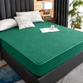 Blackish Green