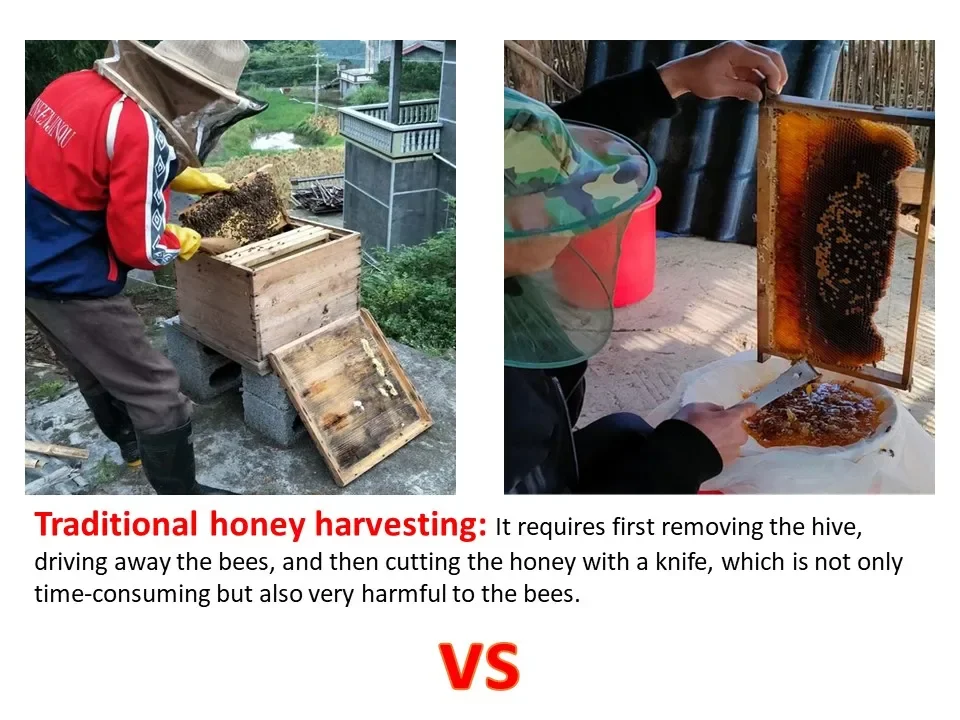 S973657c38adb400d88beaba55e5955f6p &raquo; Green Gold GDP S973657c38adb400d88beaba55e5955f6p