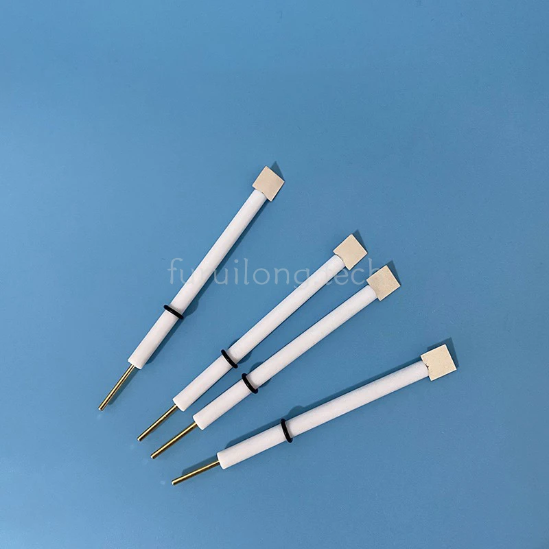 

Pt210 Platinum Plate Electrode High Purity 99.99% Laboratory Auxiliary Electrode