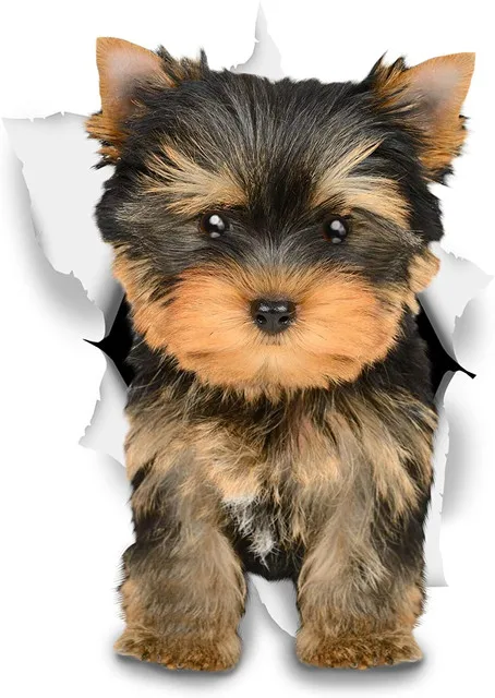 

Cute brown Yorkie car Sticker Adhesive