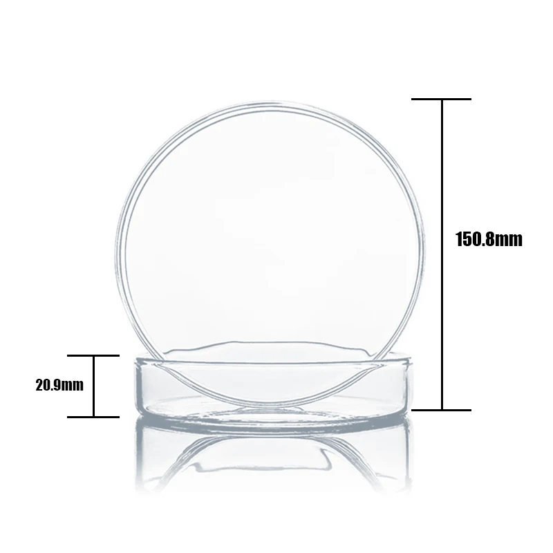150mm High Borosilicate Glass Petri Dishes Affordable Culture Of Bacteria Cells And Lactic Acid Bacteria