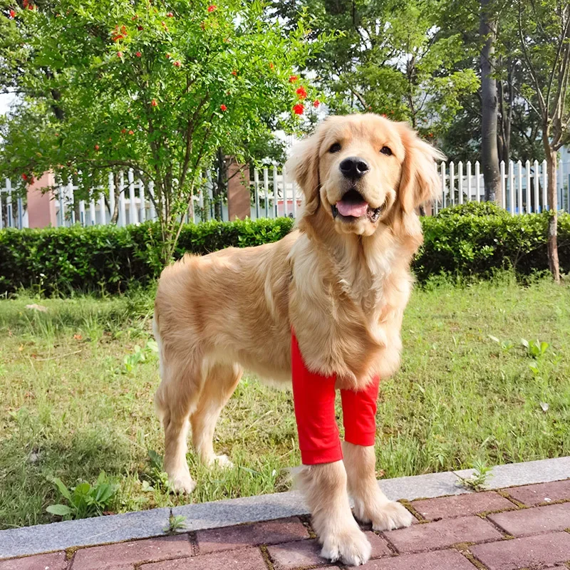 Dog Elbow Protector Dog Elbow Protector Elbow Brace Pads for Medium Large Dogs Knee Pads Clothing Joint Protection Cover Anti-abrasion