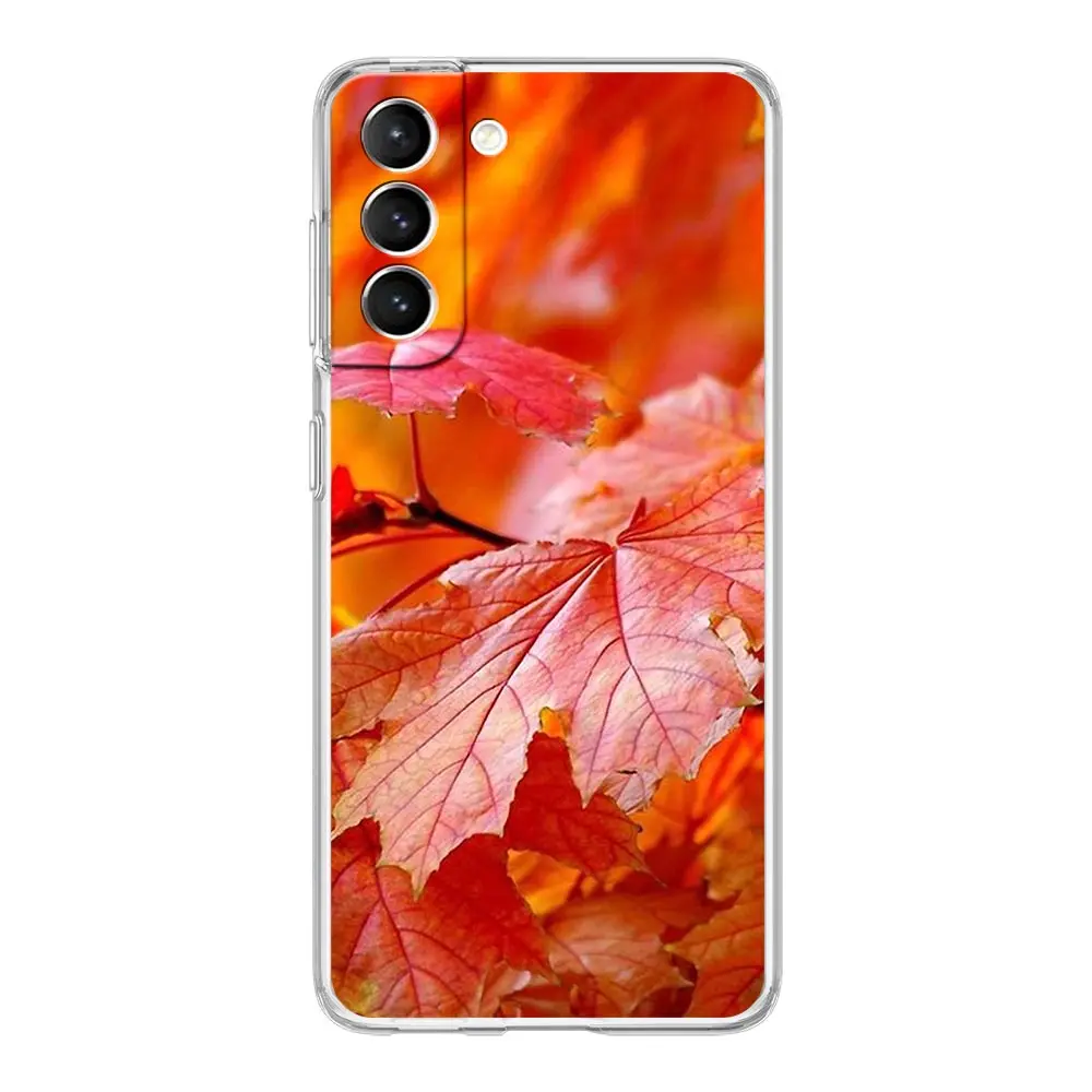 Maple Leaf Autumn Design Clear Phone Case