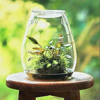 Micro Landscape Glass Bottles With Cover Fresh Green Succulent Moss Bottle Glass Vase Glass Terrarium Bonsai Home Desktop Decor 1