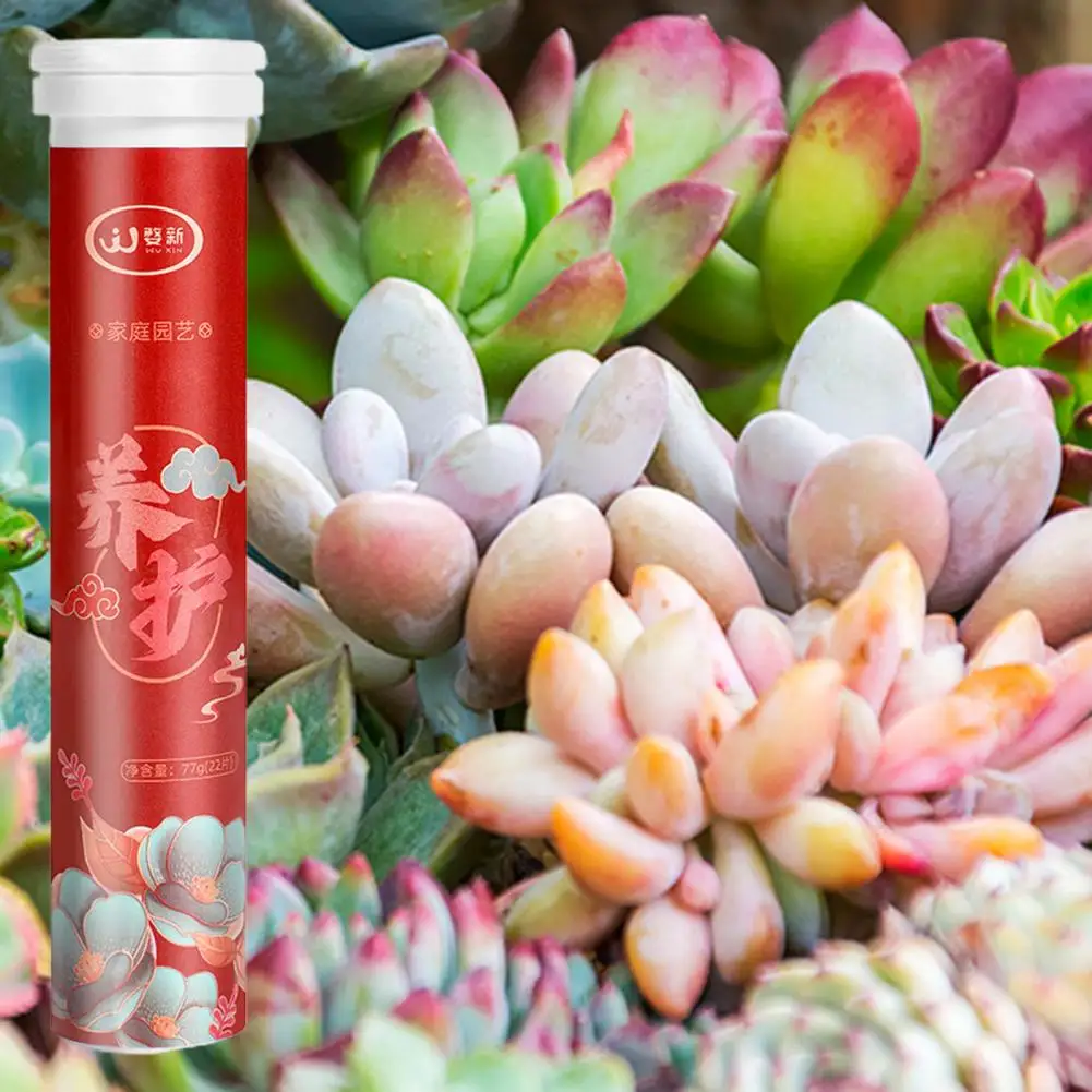 Customizable Npk Fertilizer for Home Gardening Plant Fertilizer Phytonutrients for Healthy Growth Slow-release Fruits