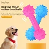 Pet Toys Small Dogs Rubber Resistance To Bite Sound Barbells Barbed Dumbbells Teeth Cleaning Chew Training Toys Pet Supplies 6