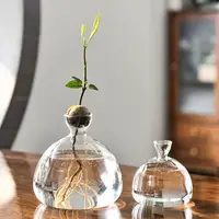 Avocado Seed Starters Vase Avocado Vase for Growing Avocado Seed Growing Kit Plant Glass with Stickers Gift for Gardening Lovers 1