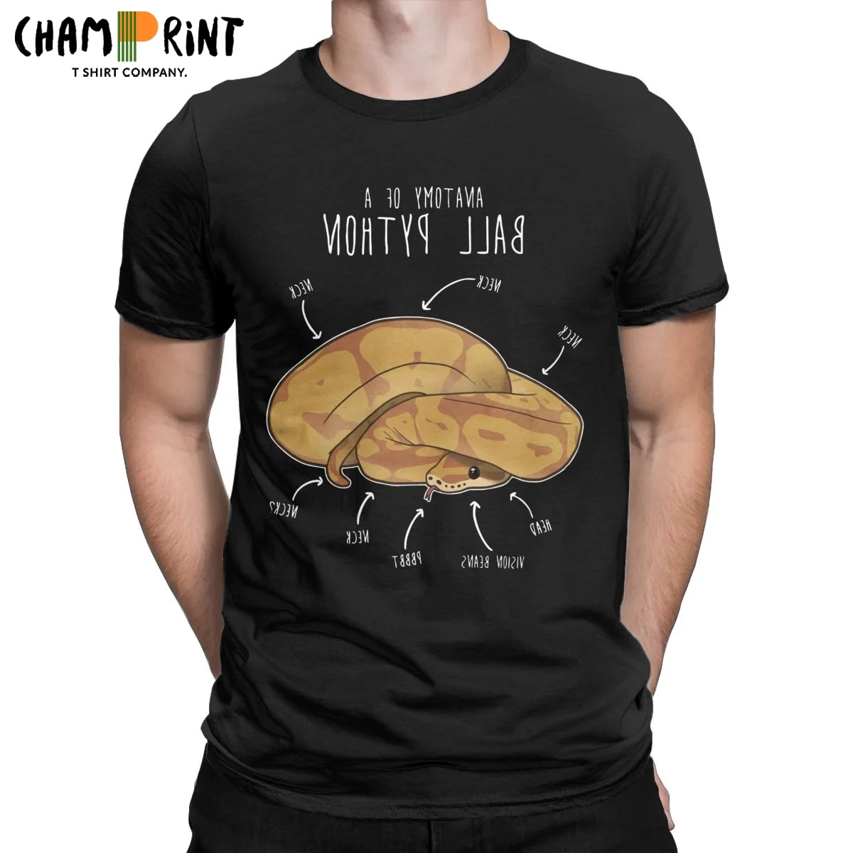

Men T-Shirts Anatomy Of A Caramel Ball Python Crazy Cotton Tee Shirt Short Sleeve Snake T Shirt Crewneck Tops Summer