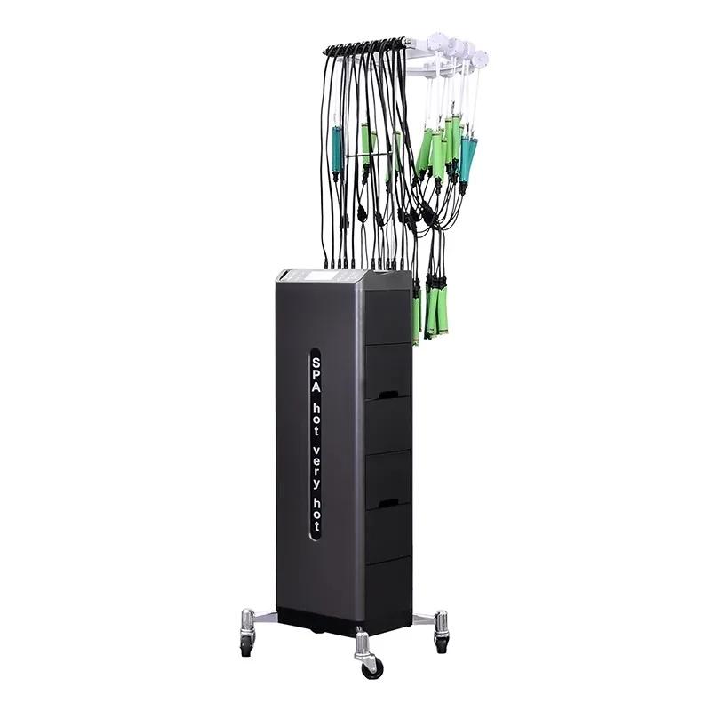 Hair Salon Intelligent Double Core Constant Temperature Digital Perm Machine Hot Ironing Machine 24V Barber