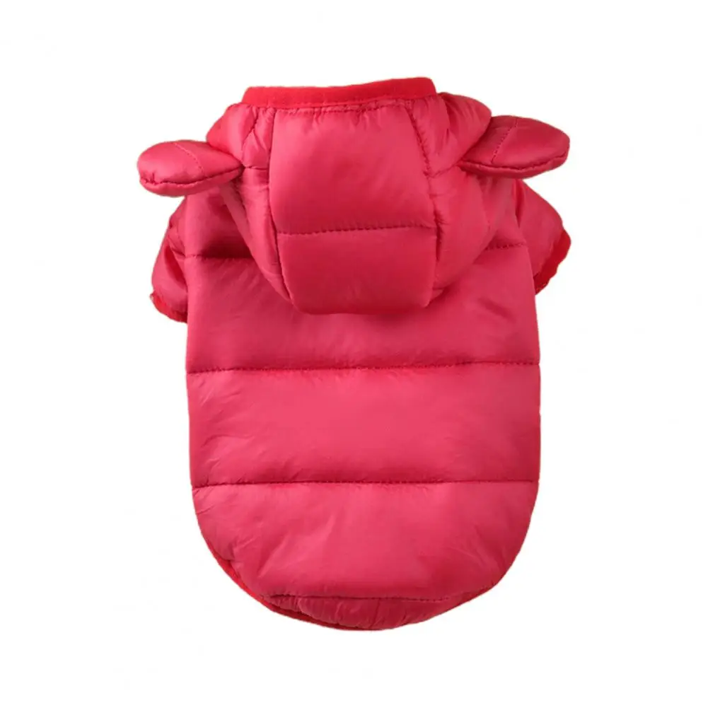 Dog Down Coat Cardigan for Winter