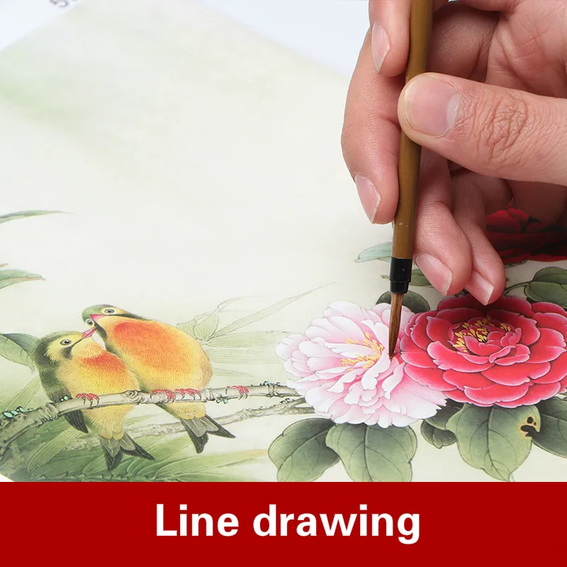 Meticulous Painting Line Drawing Draft Beginner Painting Copying Draft Chinese Flowers Birds Peony Characters Baimiao Drafts - immagine 6
