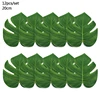 12pcs-B