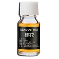 Osmanthus fragrans 1