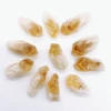 Natural Rough Citrine Point Crystal Quartz Cluster Raw Stone Mineral Specimen Energy Healing Rock Ornament Homegarden Decoration 1