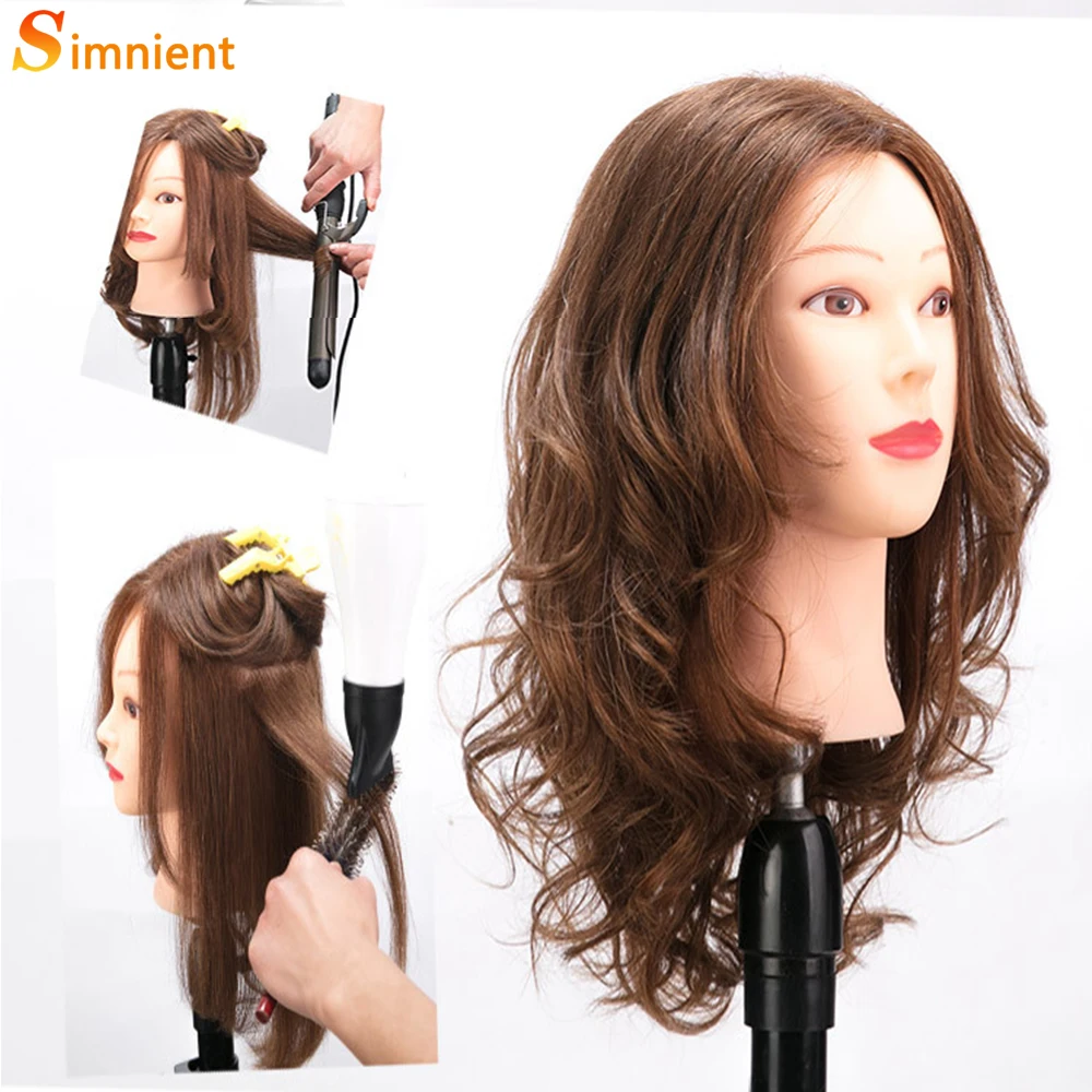 Mannequin Head with Human Hair Mannequin Head 14 inch 100% Real Hair  Training Head Doll Head for Hairdresser Practice Styling Cosmetology Mannequin  Head Hair with Free Clamp Stand (14 inch, D-D) 14 Inch D-D