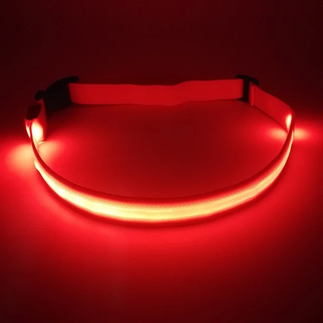 LED 파티 장식 조명 벨트