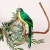 green-parrot