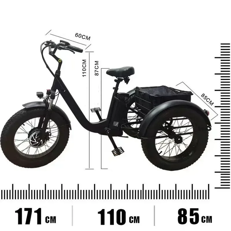 3 Wheel Electric bicycle 500W Powerful Motor 48V10AH Remove lithium battery Snow E-bike 20 inch Fat Tire Cargo Electric Tricycle