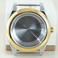 Silver Gold case 3