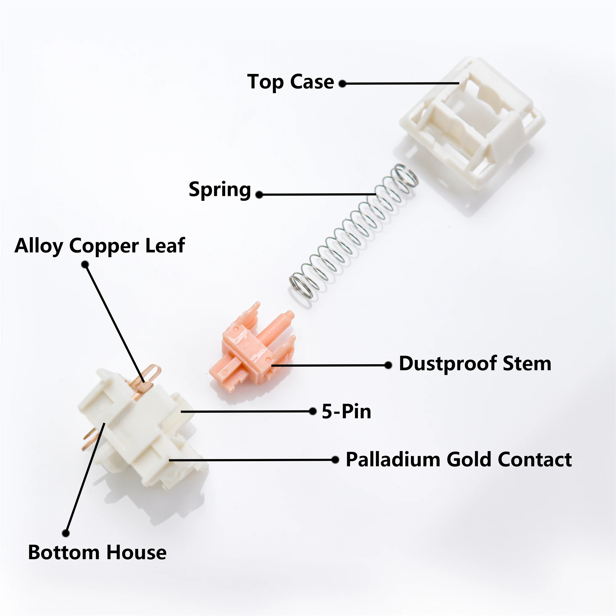 Enhanced Tactile Mechanical Keyboard Switch - Factory Lubed, RGB SMD, 62g Actuation